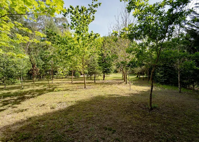 Quinta Do Conde * Ponteareas